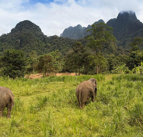 PHUKET • ELEPHANT HILLS KHAO SOK • KRABI — 14 NIGHTS FROM £1,799 | Beach, Rainforest & Elephant Adventure